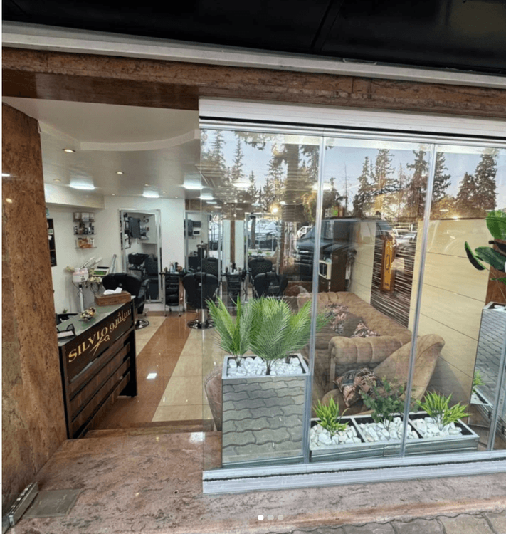 silvio salon 2